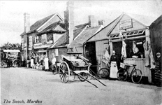 beechshops.gif (31681 bytes)